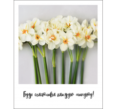 Открытка "Полароид" 11*9 см, дизайн 163