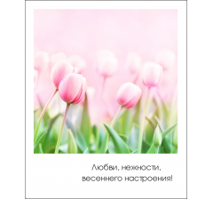 Открытка "Полароид" 11*9 см, дизайн 171