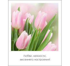 Открытка "Полароид" 11*9 см, дизайн 172