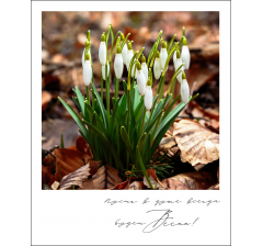 Открытка "Полароид" 11*9 см, дизайн 174