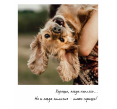 Открытка "Полароид" 11*9 см, дизайн 93