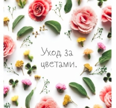 Открытка 10*10 см, дизайн 209