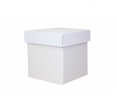 Коробка из МГК 200*200*220 мм, белый