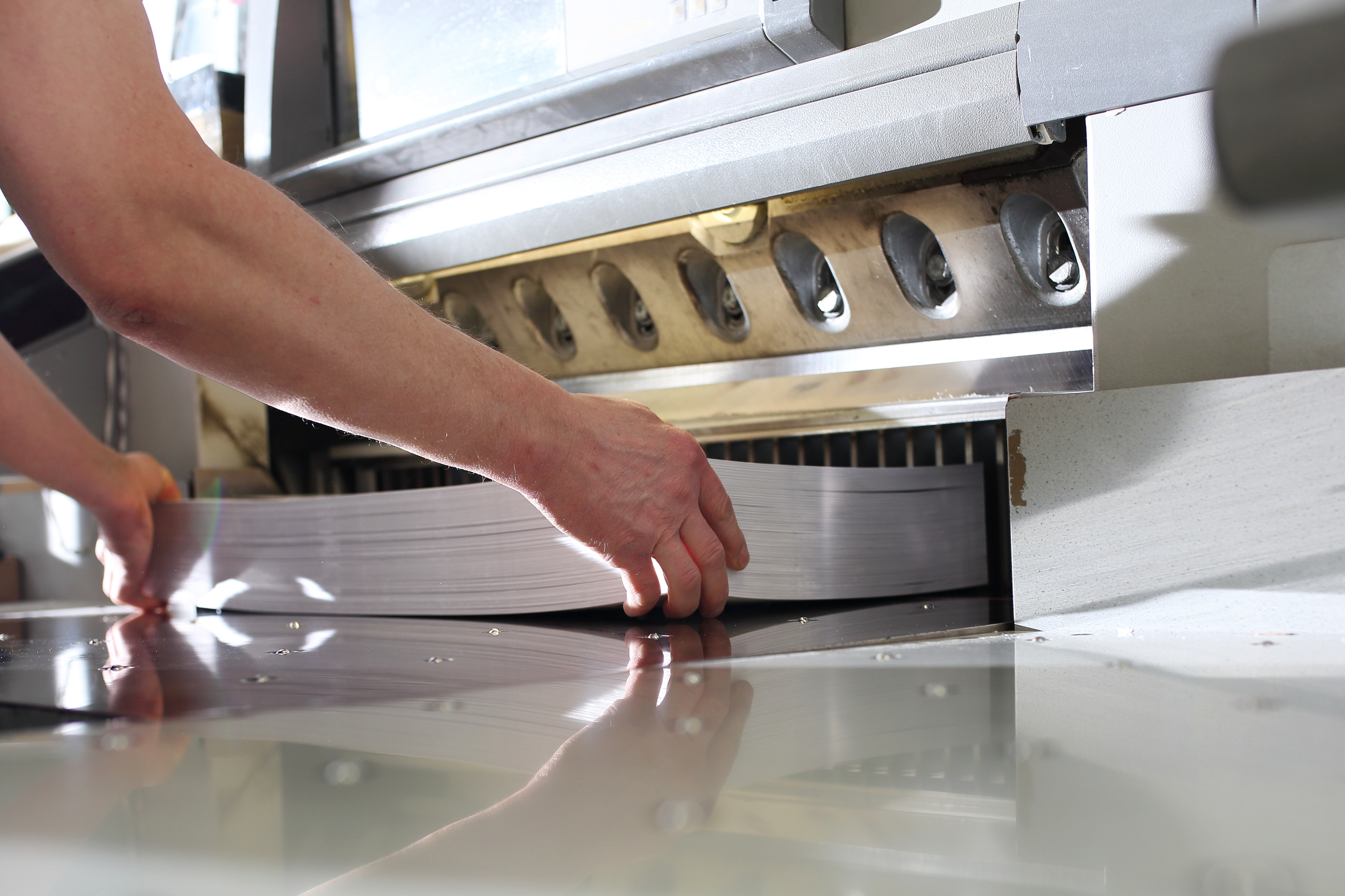 shutterstock_1390000562