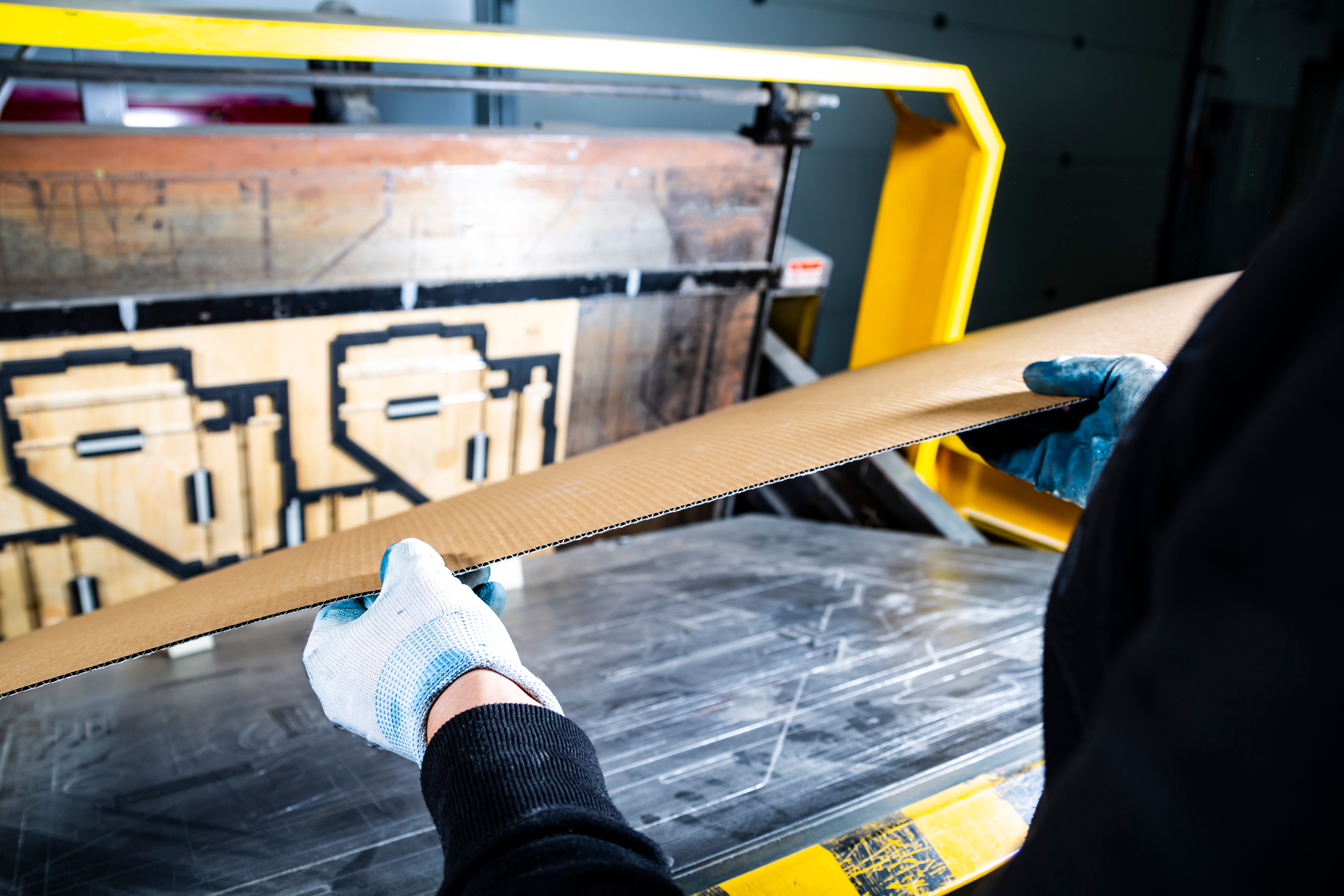 shutterstock_1580923810